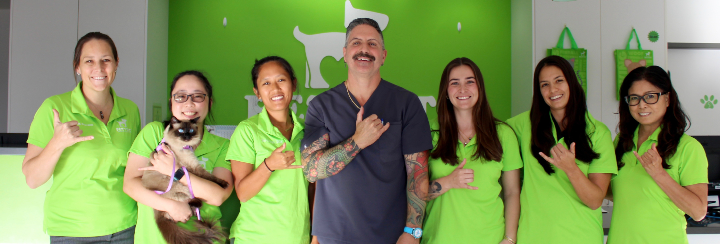 PetVet Animal Hospital