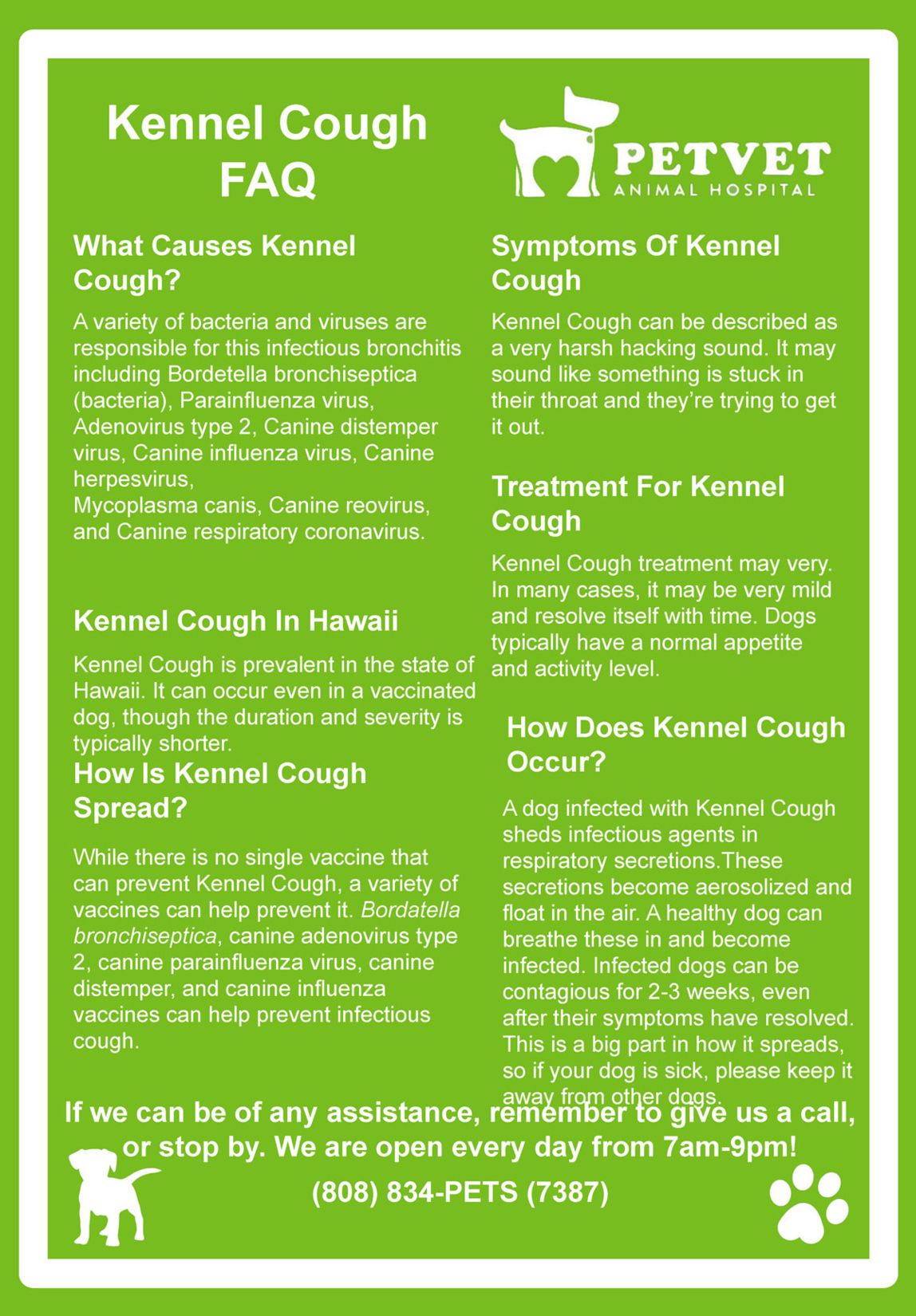 Kennel Cough FAQs